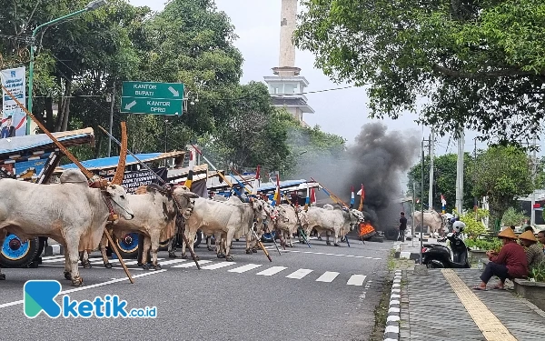 Thumbnail Berita - Penghuni Malioboro City Bawa Gerobak Sapi dan Bakar Ban di Depan Kantor Bupati Sleman