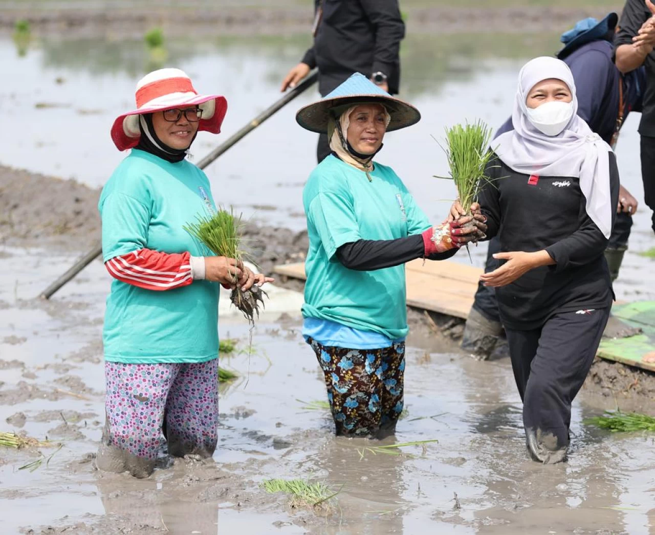 Thumbnail Berita - NTP Naik, Gubernur Khofifah Harap Kesejahteraan Petani Meningkat 