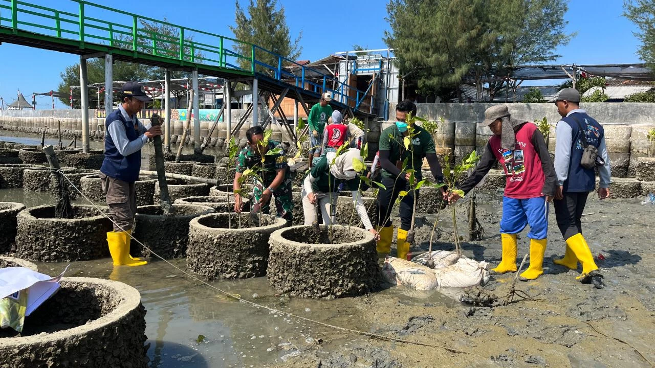 Normalisasikan Kawasan Pesisir, PLN Peduli Tanam 3000 Mangrove 