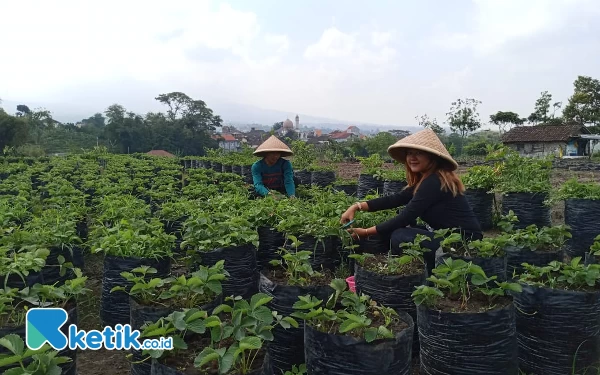 Thumbnail Berita - Menengok Indahnya Desa Wisata Kota Batu