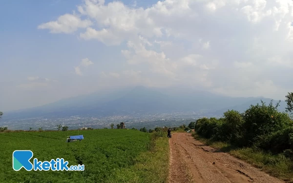 Bukit Jengkoang Suguhkan Eksotisme Kota Batu Dari Ketinggian