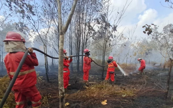 Thumbnail Berita - 1.178 Hektare Hutan dan Lahan Terbakar di Sumatera Utara