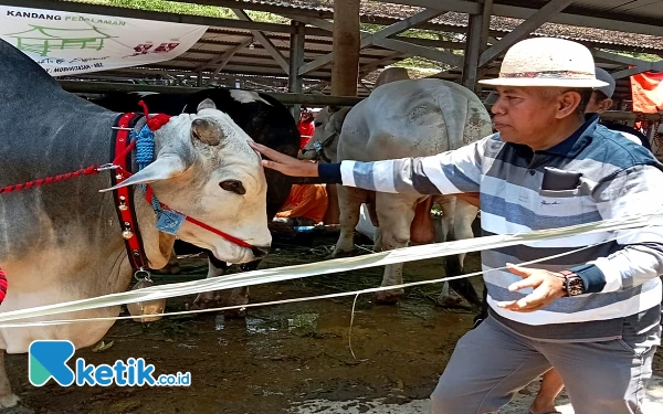 Mantan Kajari Tulungagung Apresiasi Peternak Dampak PMK Melalui Kontes Sapi