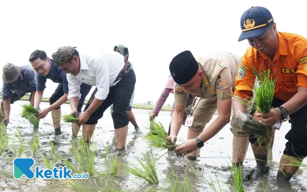 Thumbnail Berita - Program Pemipaan Kementan di Bangkalan Targetkan Sumbang 40 Ribu Ton Beras Setahun