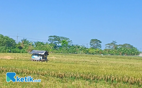 Thumbnail Berita - Waspada! Hujan Ekstrem Berpotensi Terjadi di Seantero Jatim Seminggu ke Depan