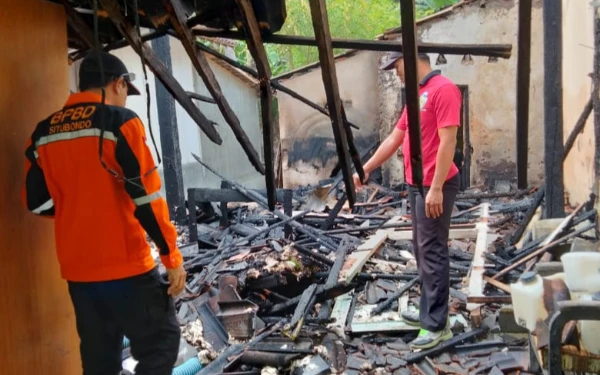 Tercatat 65 Peristiwa Kebakaran Selama November di Situbondo, BPBD Imbau Warga Lebih Waspada