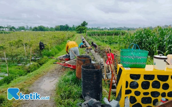 Thumbnail Berita - Pemdes Karanggayam Sukses Bangun Talud dan Perlebar Jalan Aspal dengan Dana Desa 2024