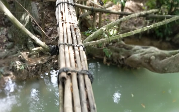 Thumbnail Jembatan bambu yang penyangganya pakai pohon yang dikhawatirkan sewaktu-waktu bisa potong atau tumbang ( foto : Ach. Suni )