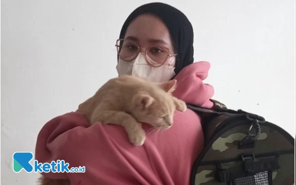 Thumbnail Berita - Cat Lovers Wajib Tahu! Ini Bahaya Bulu Kucing