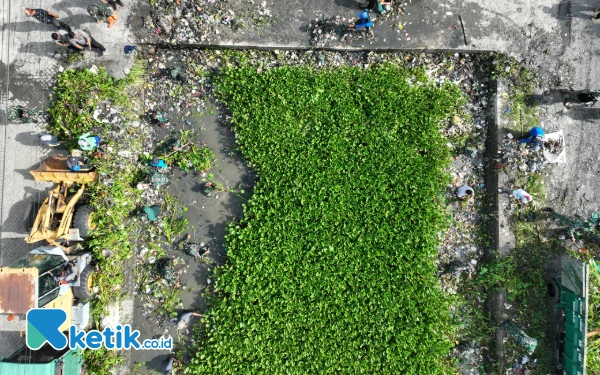 Thumbnail Berita - Satpol PP dan Anggota Kodim Sidoarjo Bersihkan Enceng Gondok, Rawan Picu Banjir